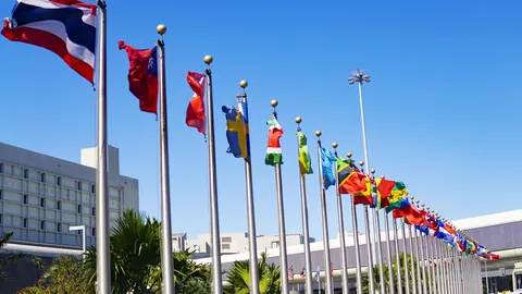 Row of national flags on tall poles under a blue sky outside an international venue
