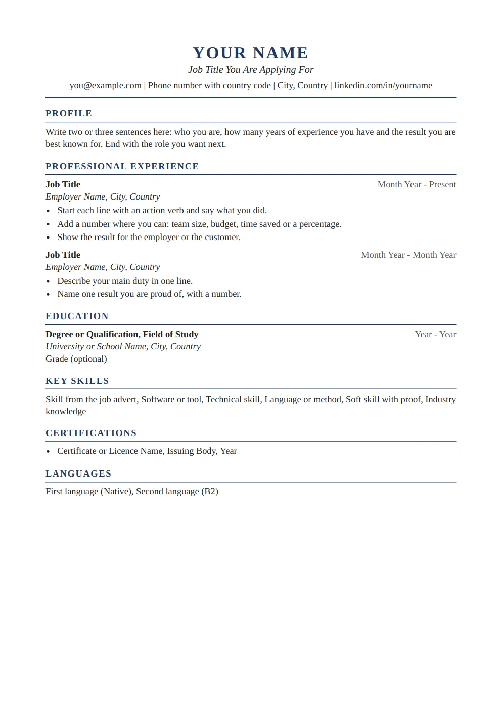 Professional CV template: preview of the first page
